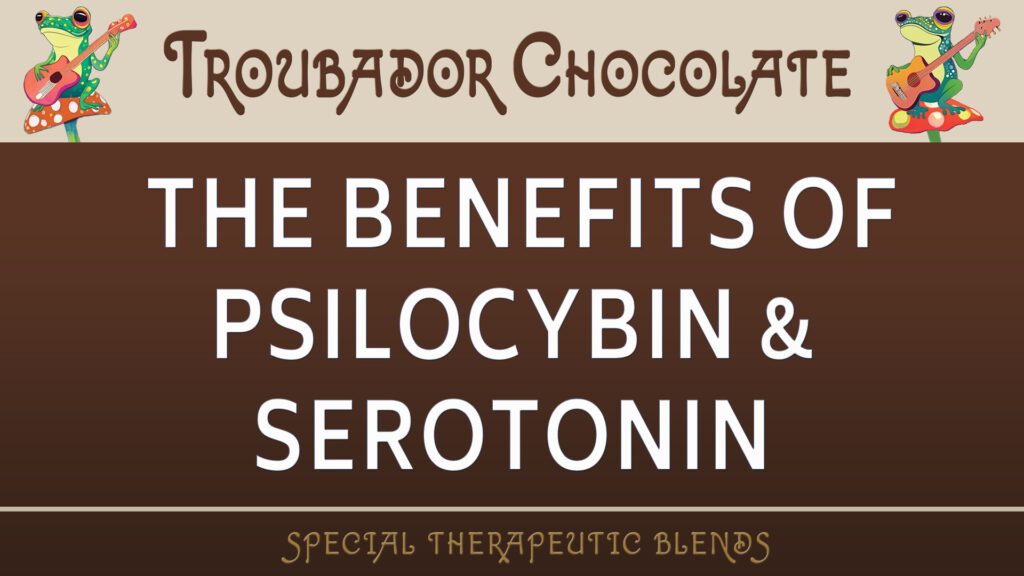 Psilocybin Therapy | Troubador Chocolate