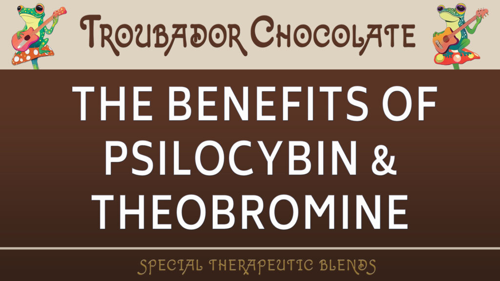 Psilocybin & Cocoa | Troubador Chocolate